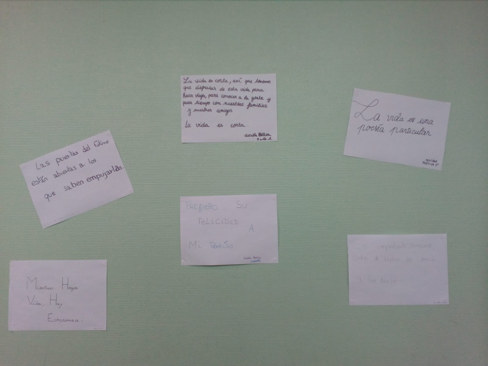 ACCION POETICA