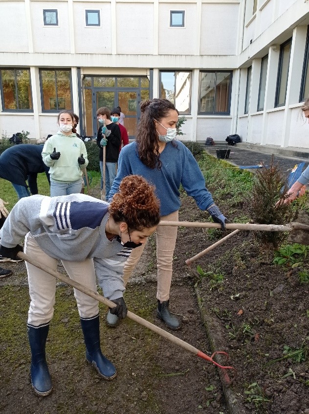 Image bas de l'article