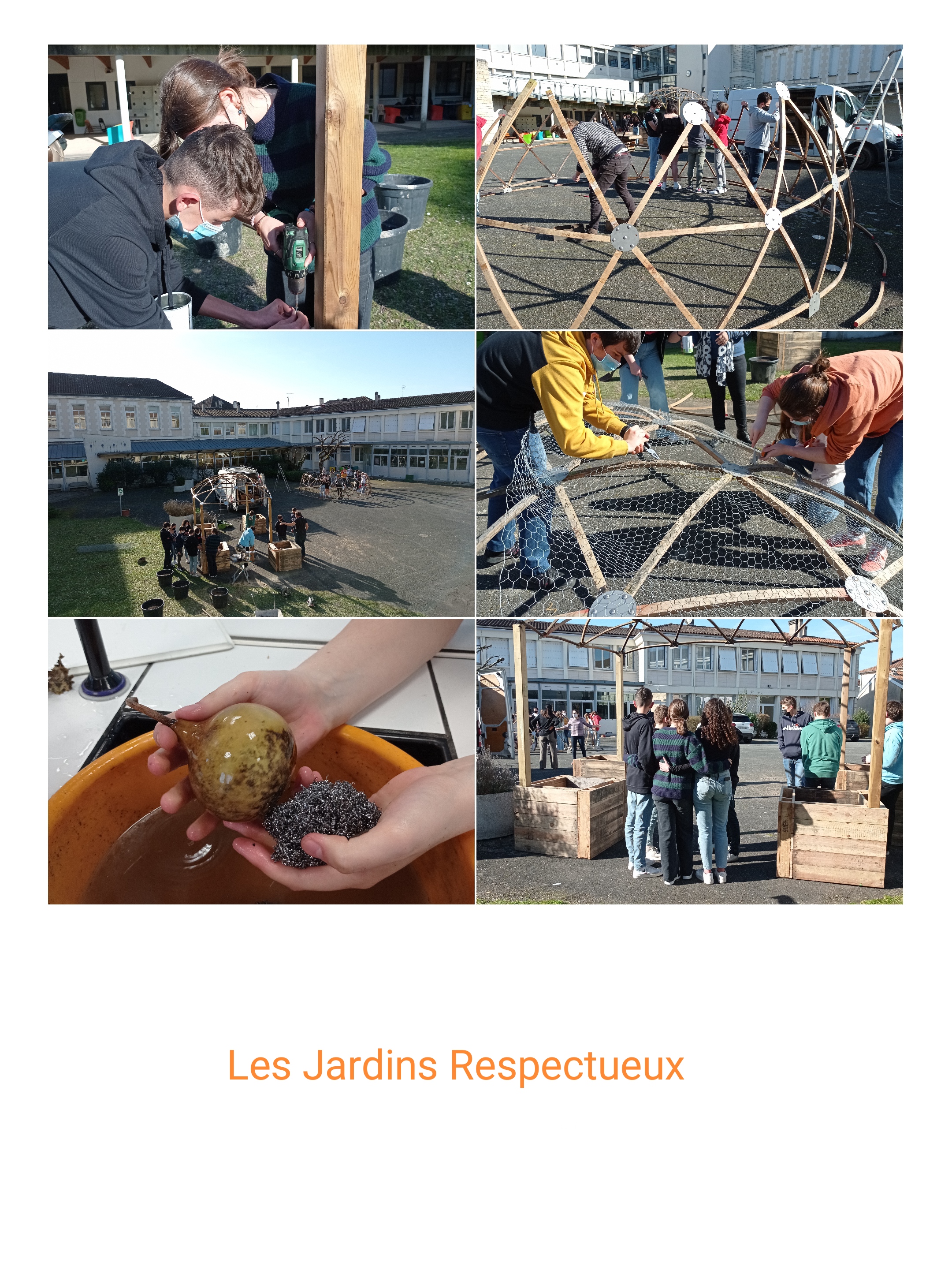 Image bas de l'article
