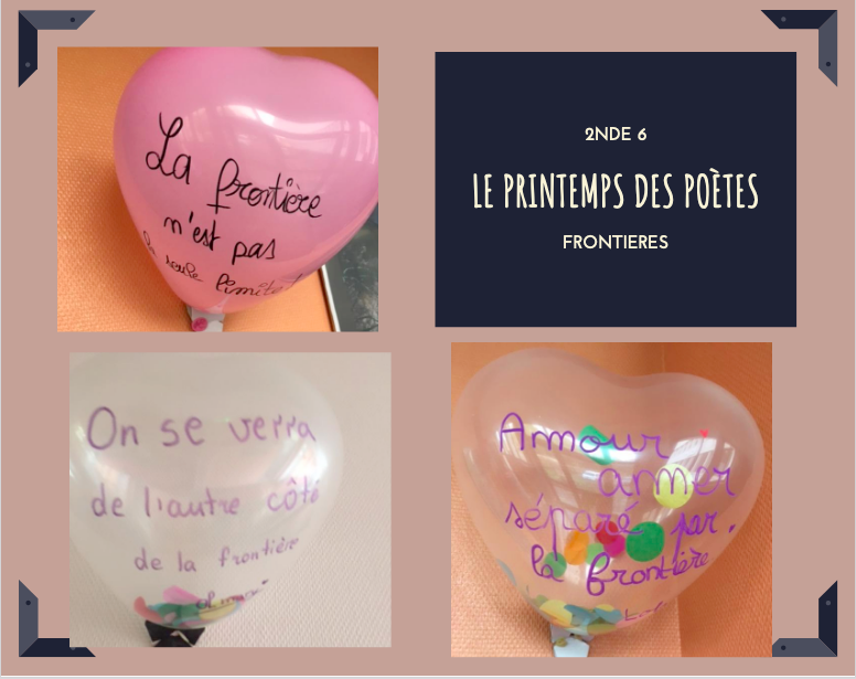 Image haut de l'article