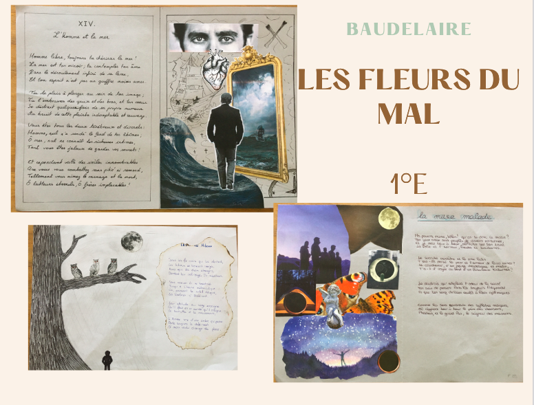 Image haut de l'article