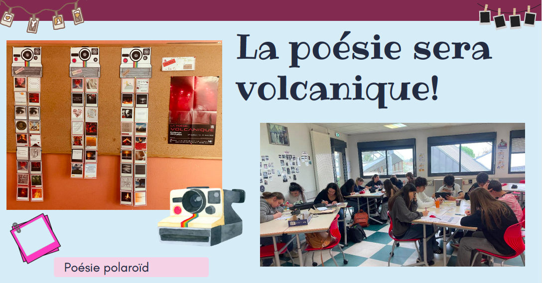 Image haut de l'article